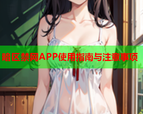 暗区禁网APP使用指南与注意事项