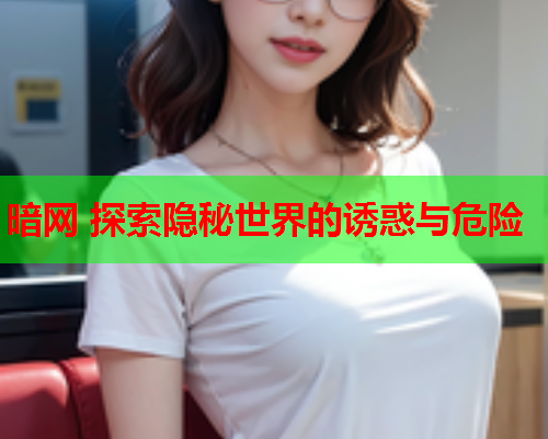 暗网 探索隐秘世界的诱惑与危险