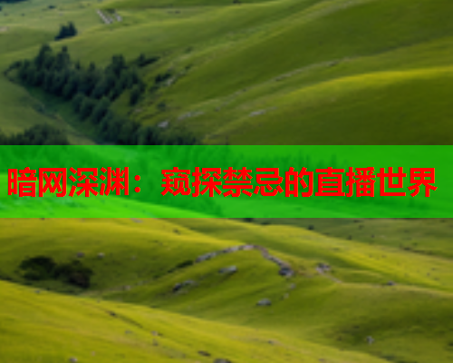 暗网深渊：窥探禁忌的直播世界