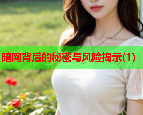 暗网背后的秘密与风险揭示(1)