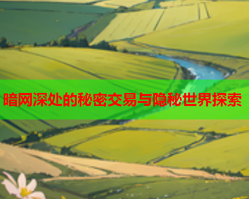 暗网深处的秘密交易与隐秘世界探索