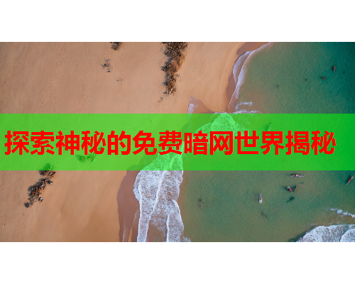 探索神秘的免费暗网世界揭秘
