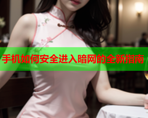 手机如何安全进入暗网的全新指南