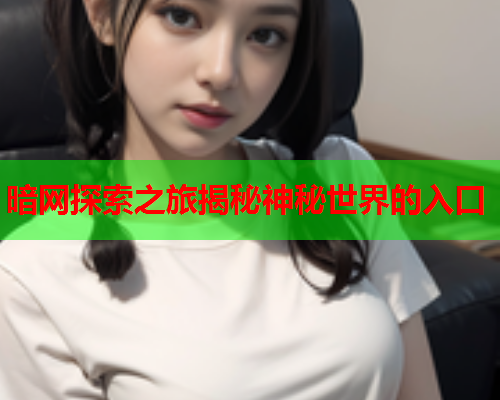 暗网探索之旅揭秘神秘世界的入口