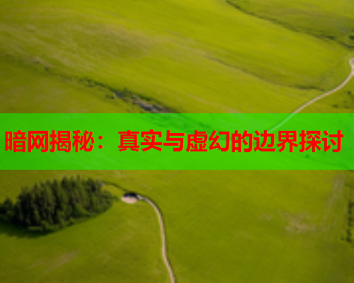 暗网揭秘：真实与虚幻的边界探讨