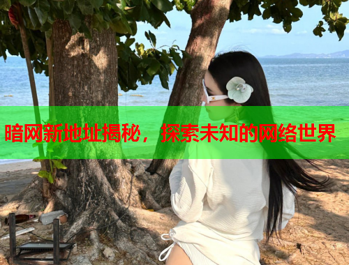 暗网新地址揭秘，探索未知的网络世界