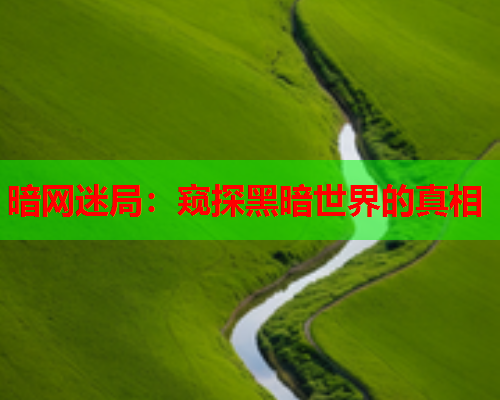 暗网迷局：窥探黑暗世界的真相