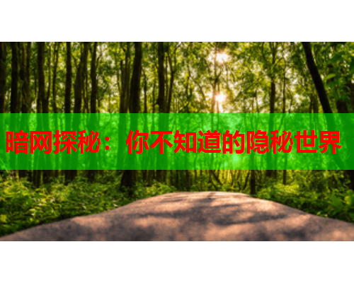暗网探秘：你不知道的隐秘世界
