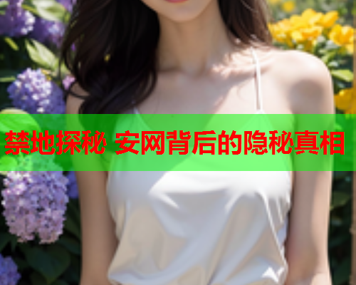 禁地探秘 安网背后的隐秘真相