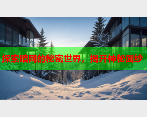 探索暗网的秘密世界，揭开神秘面纱