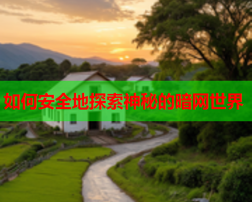 如何安全地探索神秘的暗网世界