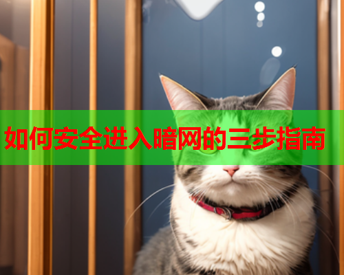 如何安全进入暗网的三步指南