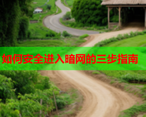 如何安全进入暗网的三步指南