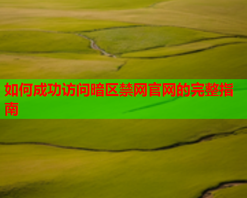 如何成功访问暗区禁网官网的完整指南
