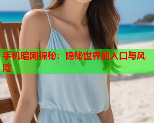 手机暗网探秘：隐秘世界的入口与风险