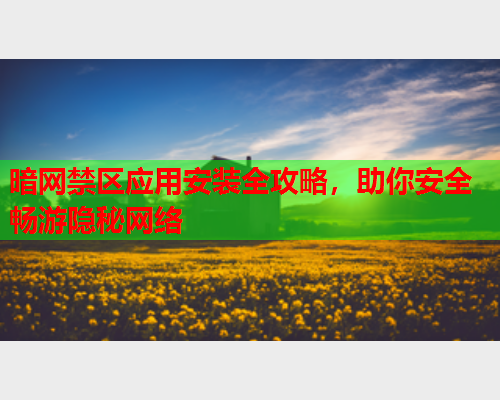 暗网禁区应用安装全攻略，助你安全畅游隐秘网络