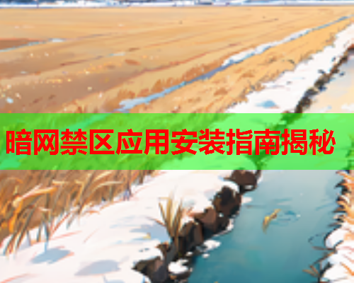 暗网禁区应用安装指南揭秘