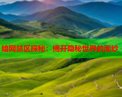 暗网禁区探秘：揭开隐秘世界的面纱