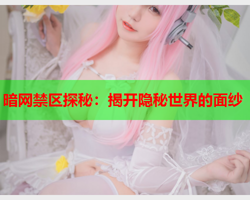 暗网禁区探秘：揭开隐秘世界的面纱