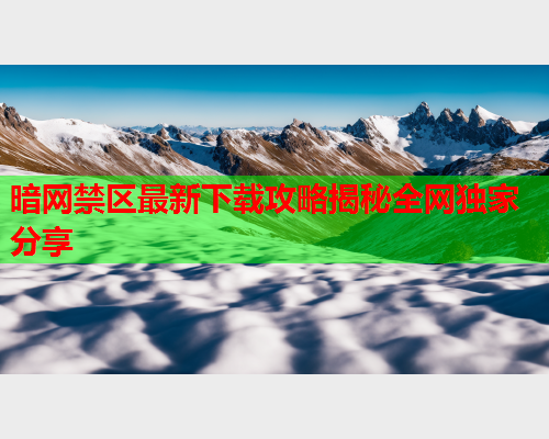 暗网禁区最新下载攻略揭秘全网独家分享