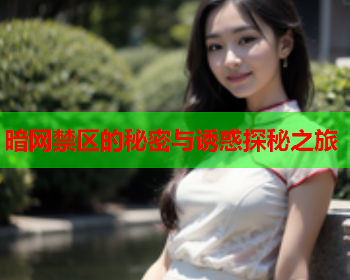 暗网禁区的秘密与诱惑探秘之旅