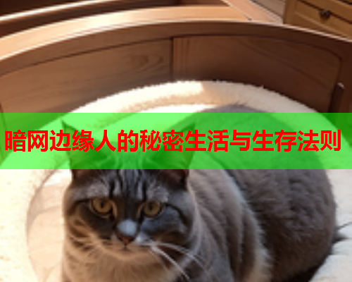 暗网边缘人的秘密生活与生存法则