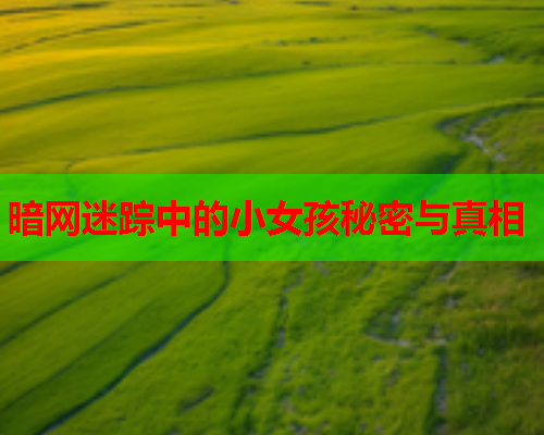暗网迷踪中的小女孩秘密与真相