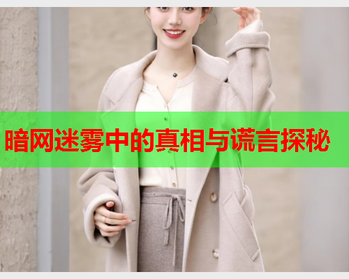 暗网迷雾中的真相与谎言探秘