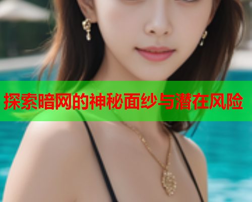 探索暗网的神秘面纱与潜在风险