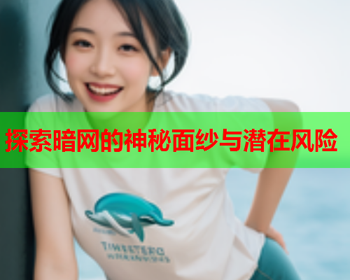 探索暗网的神秘面纱与潜在风险