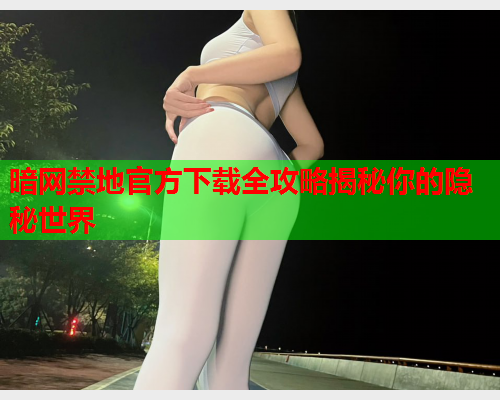 暗网禁地官方下载全攻略揭秘你的隐秘世界