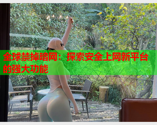 全球禁掉暗网：探索安全上网新平台的强大功能