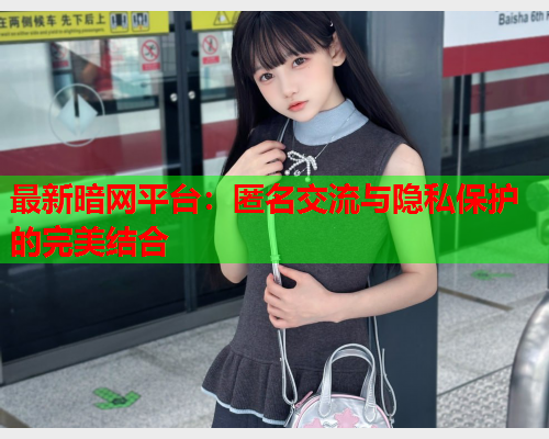 最新暗网平台：匿名交流与隐私保护的完美结合